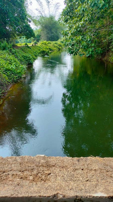 MVIP Canal View - Image 1