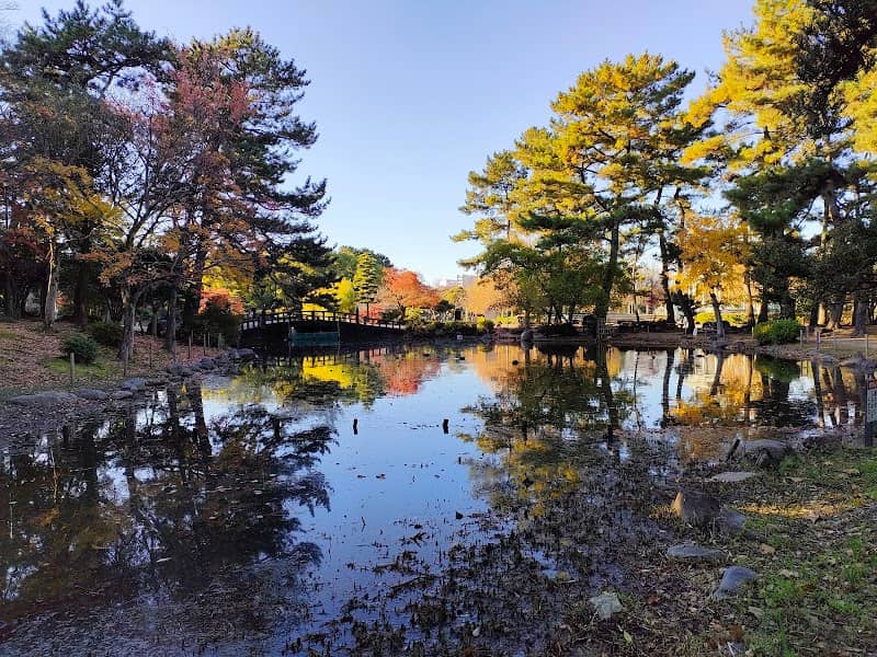 Kochogaike Pond - Image 3