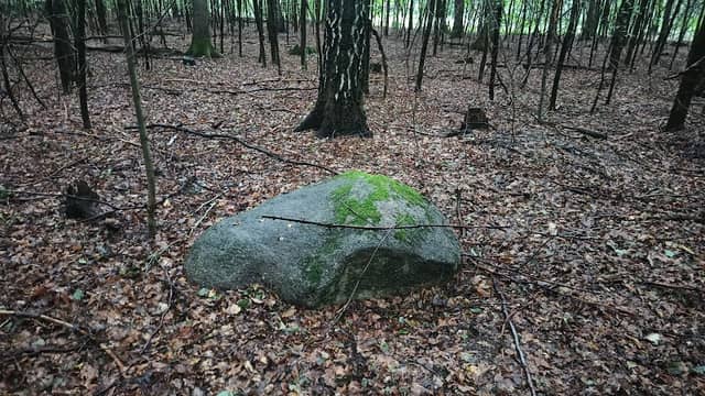 Pomnik przyrody - Kamień w krzakach - Image 1