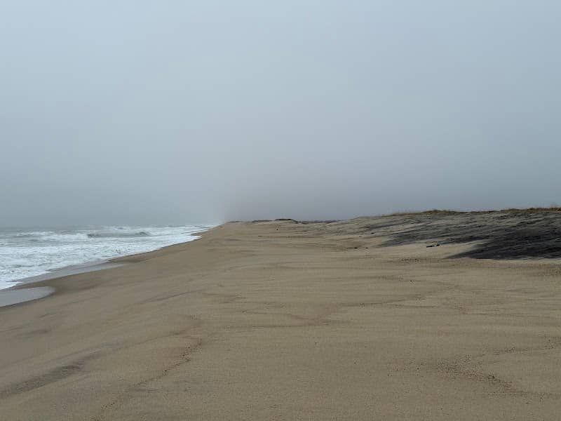 Long Point Wildlife Refuge - Image 1