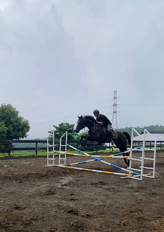 The SILA’S Stable - Image 1