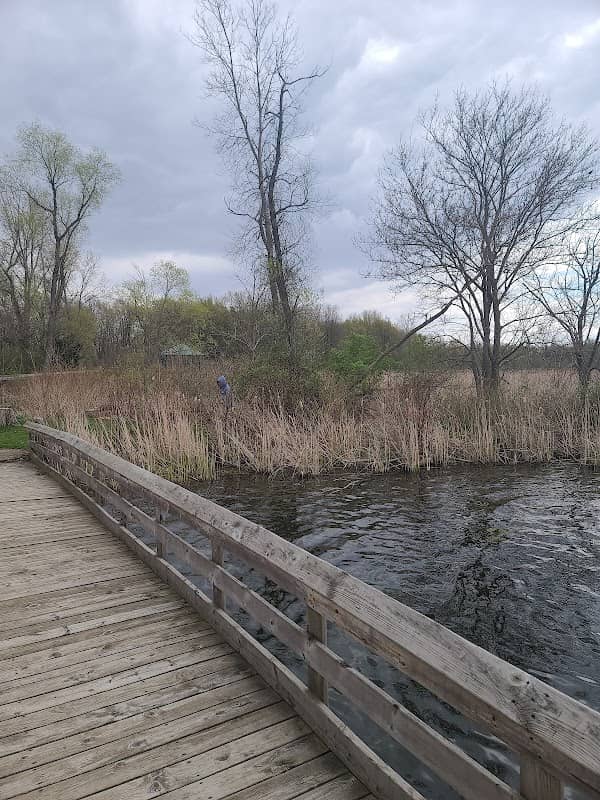 Homer Lake Public Access - Image 1