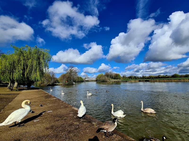 Alexandra Gardens - Image 1