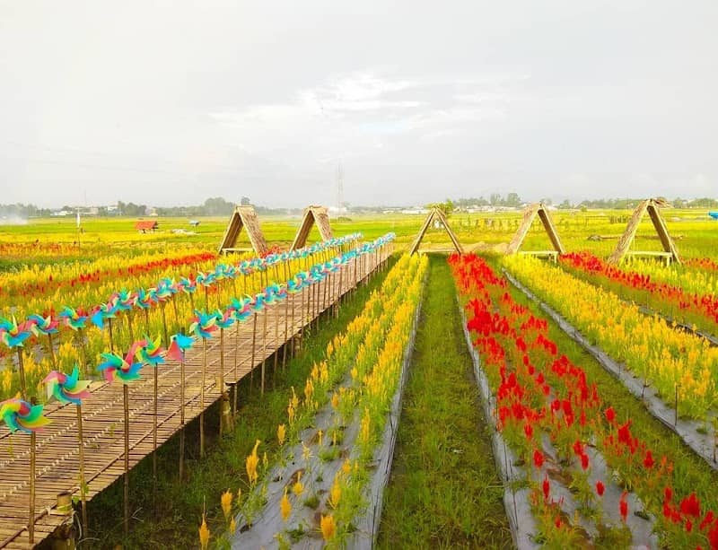 Rainbow Garden Gowa - Image 1
