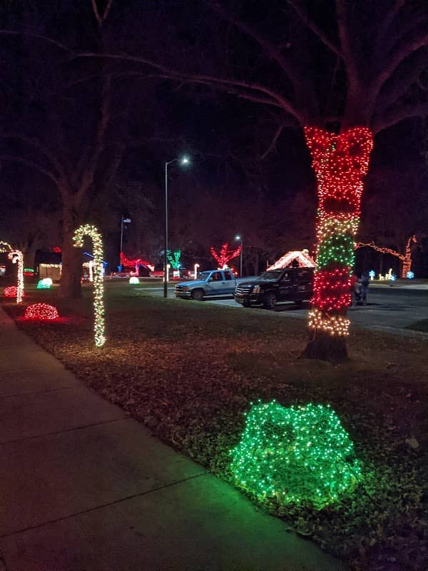 Oak tree park - Image 2