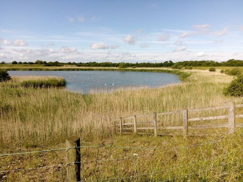 Fiskerton Fen Nature Reserve - Image 1
