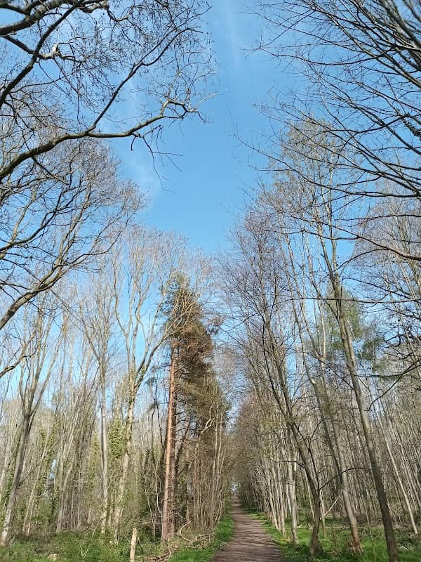 Bailey's Plantation - Image 1