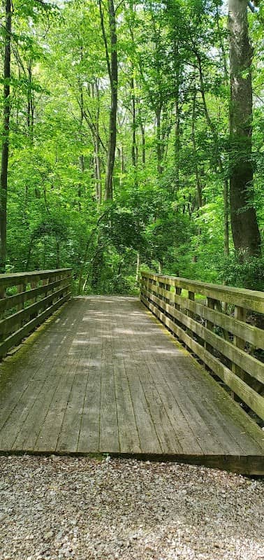 Hervey Preserve and Labyrinth - Image 2