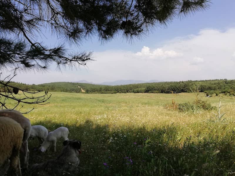 Huzur Parkı - Image 1