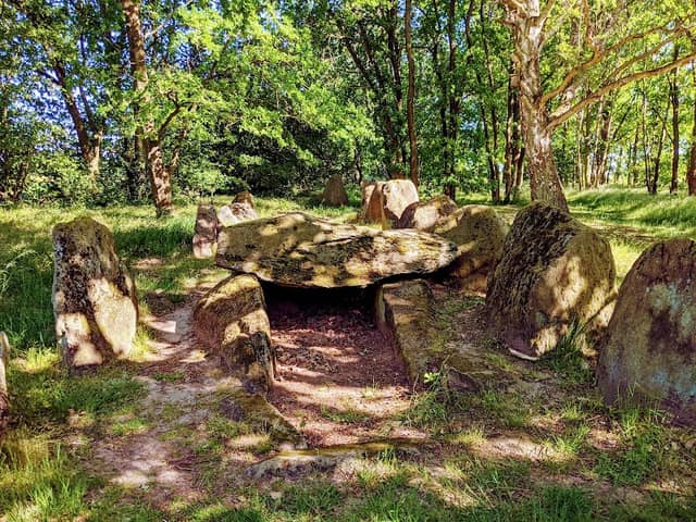 Königsgräber von Altenmedingen - Image 1