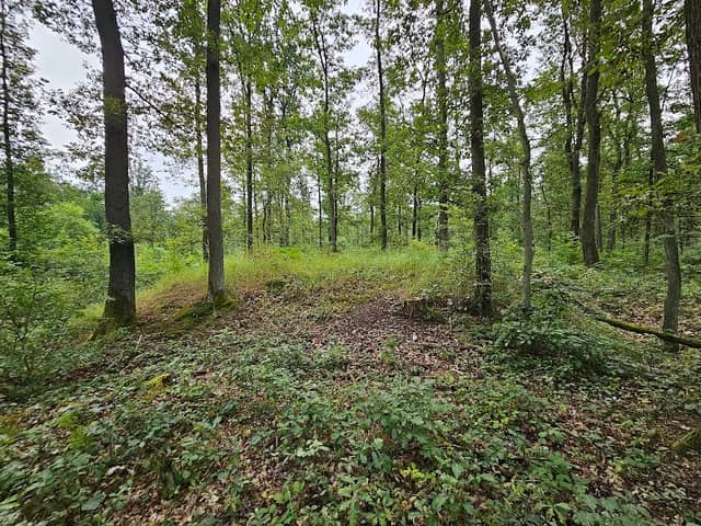 Gródek stożkowy - Image 1