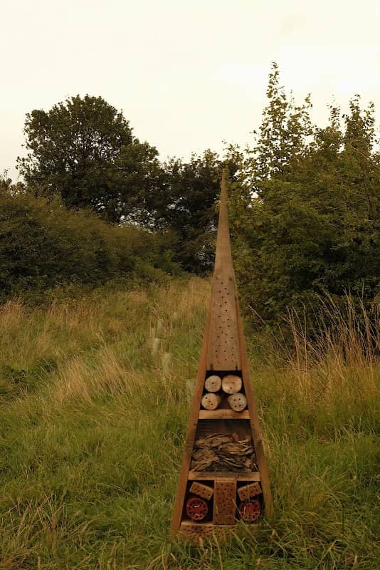 Selby Community Woodland - Image 3