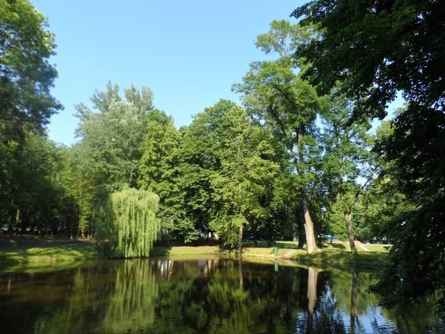 Park pałacowy - Image 2
