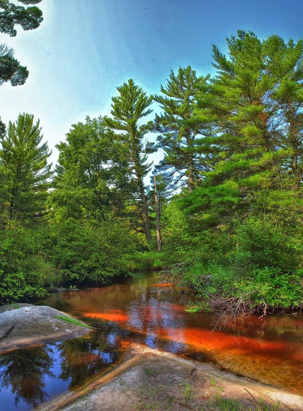 Robinson Creek Pines State Natural Area - Image 1