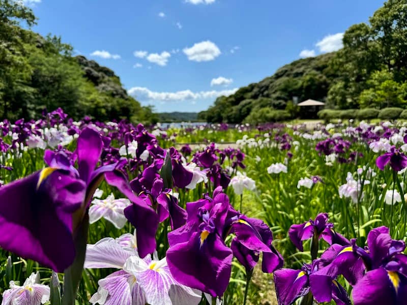 物見山総合公園 - Image 1