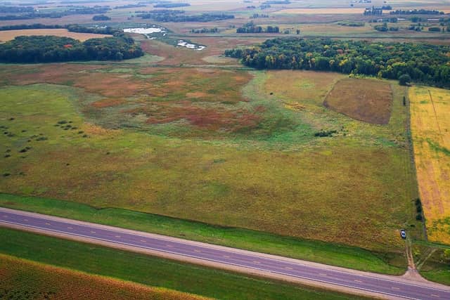 Revanche Wildlife Management Area - Image 1