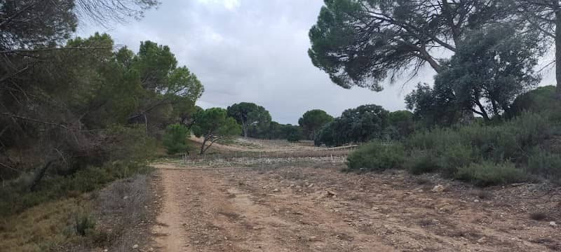 Aldea El Molino del Concejo - Image 1