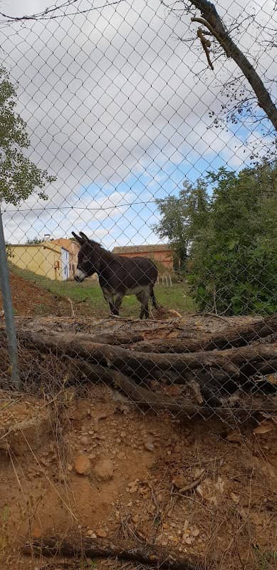 Aldea El Molino del Concejo - Image 2