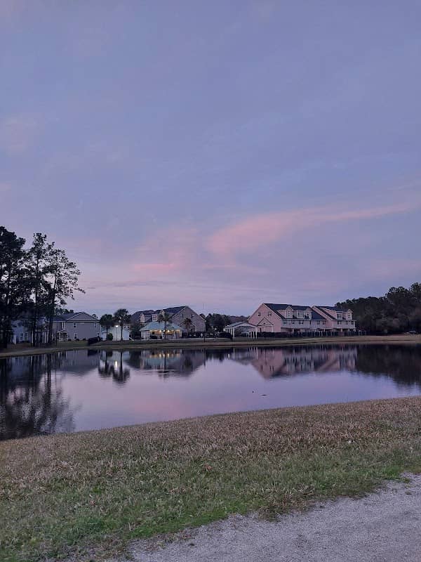 Easthaven dog park - Image 1