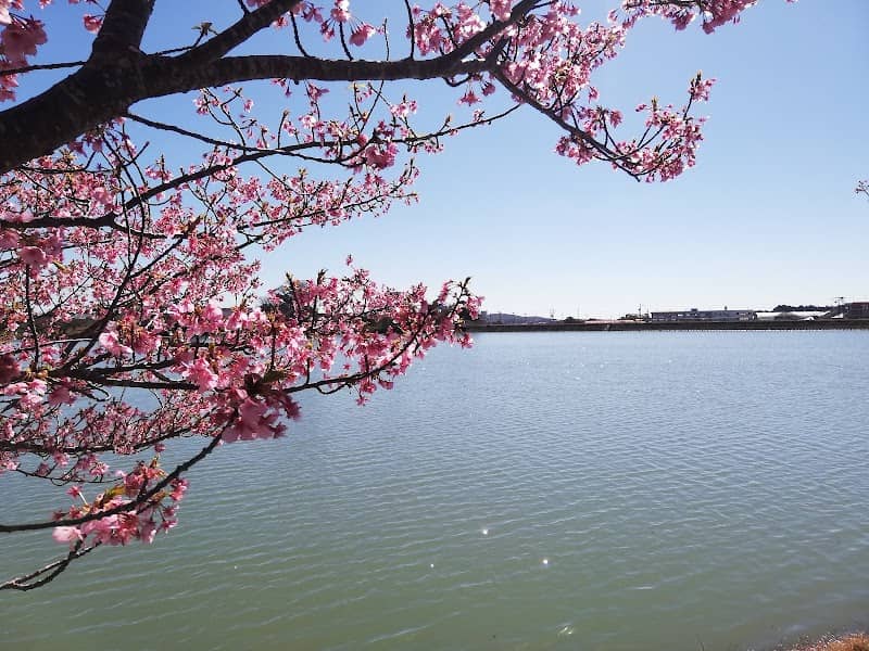 田ヶ池 - Image 1