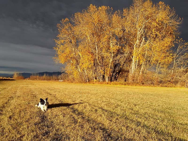 Meadow Creek Park - Image 2