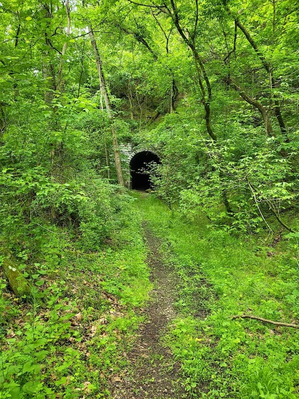 North Bend Rail Trail Tunnel #8 Cunningham's - Image 1