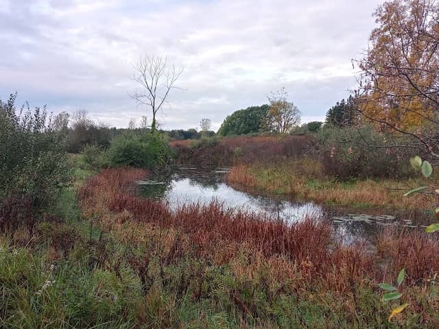 Hilton and Marjorie Tibbits Nature Sanctuary - Image 1