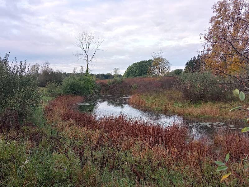 Hilton and Marjorie Tibbits Nature Sanctuary - Image 1
