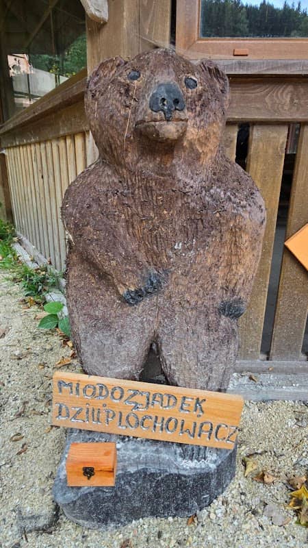 Kraina Niedźwiadków - Image 1