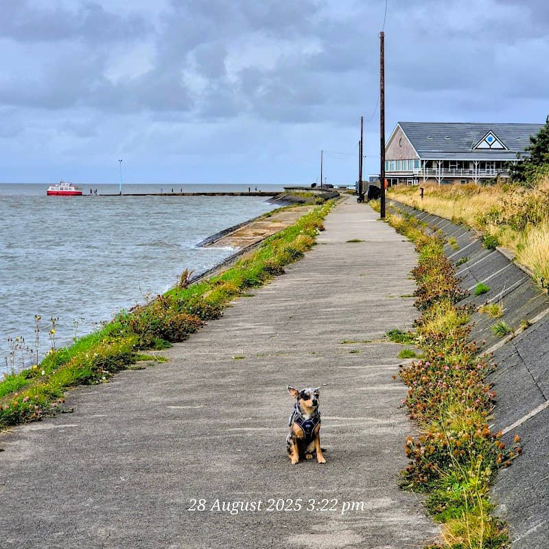 Wyre Riverside Walk - Image 2