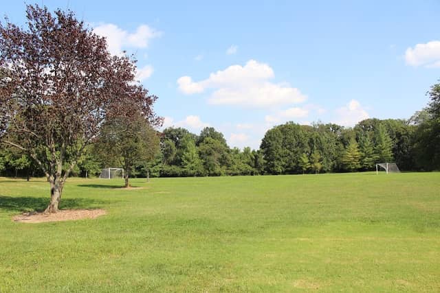 Ferris Park - Image 1