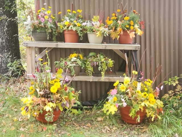 Range Flower Farm - Image 3