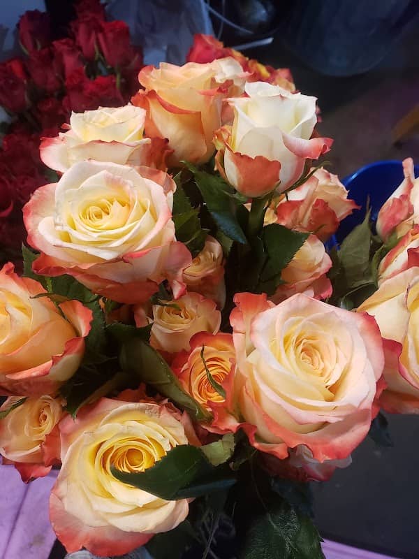 Range Flower Farm - Image 2