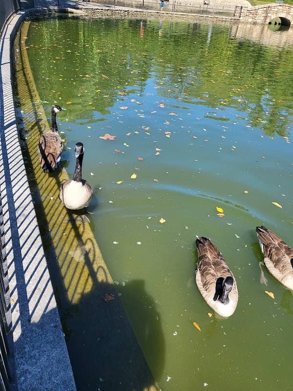 Lake Spring Park - Image 1