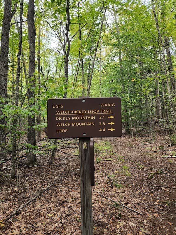 Welch-Dickey Trailhead - Image 3