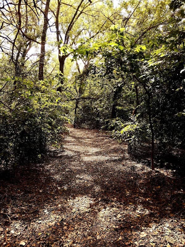 Wetland Park - Image 1
