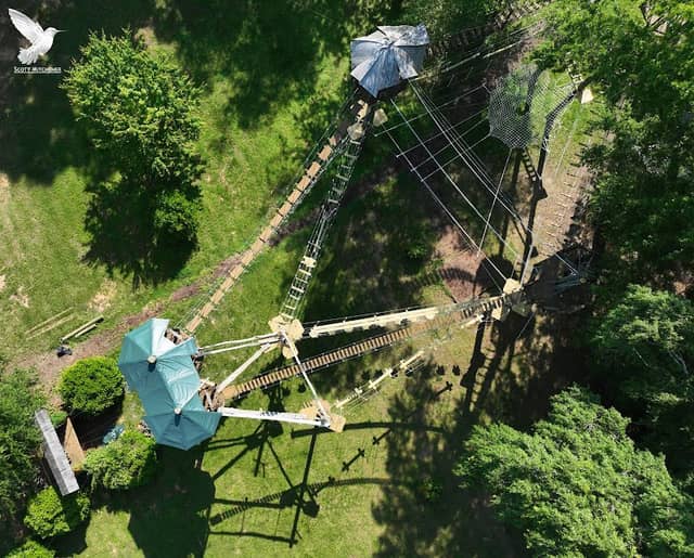 Beanstalk Ziplines - Image 2