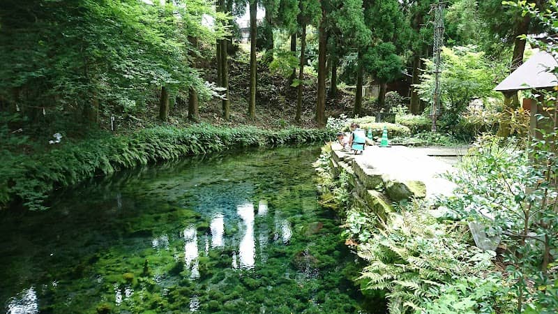 Shirakawa Spring - Image 2