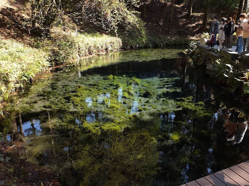 Shirakawa Spring - Image 3