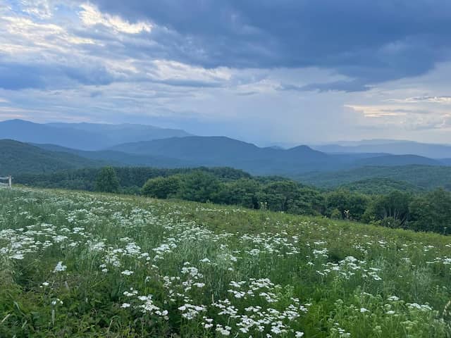 Max Patch - Image 3