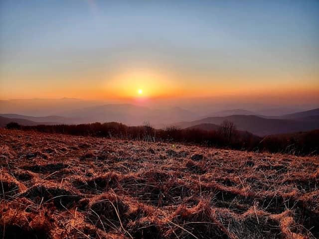 Max Patch - Image 2