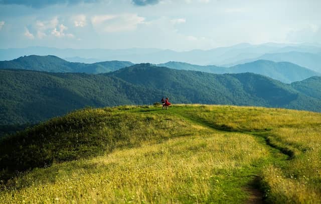 Max Patch - Image 1