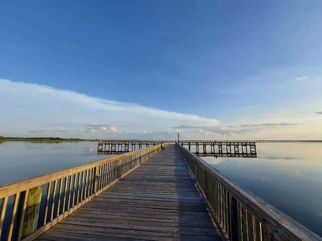 Meaher State Park - Image 1