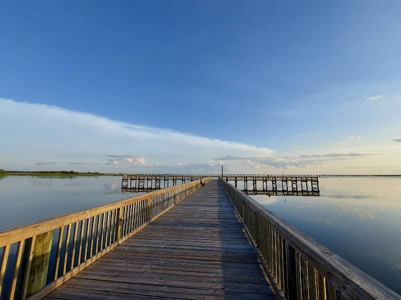 Meaher State Park - Image 1