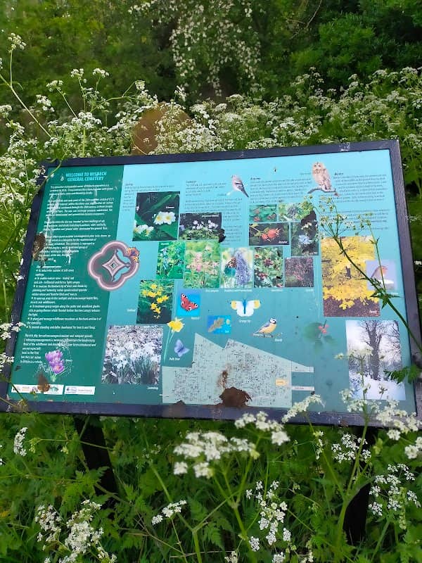 Octavia Hill Green - Image 2