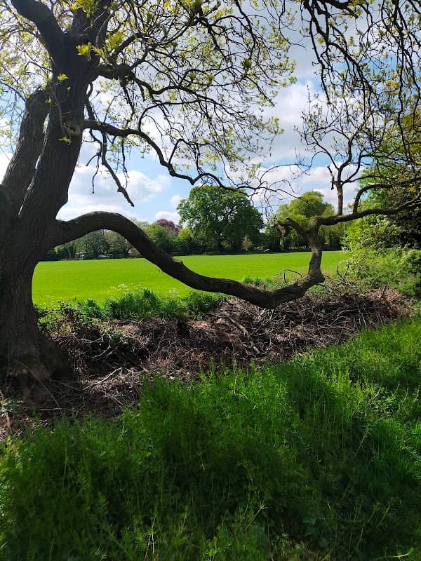 Octavia Hill Green - Image 1