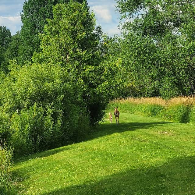 Spring valley ponds campground - Image 2
