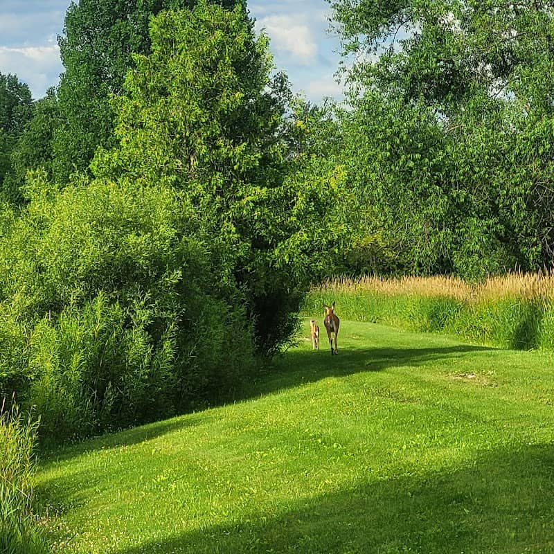 Spring valley ponds campground - Image 2
