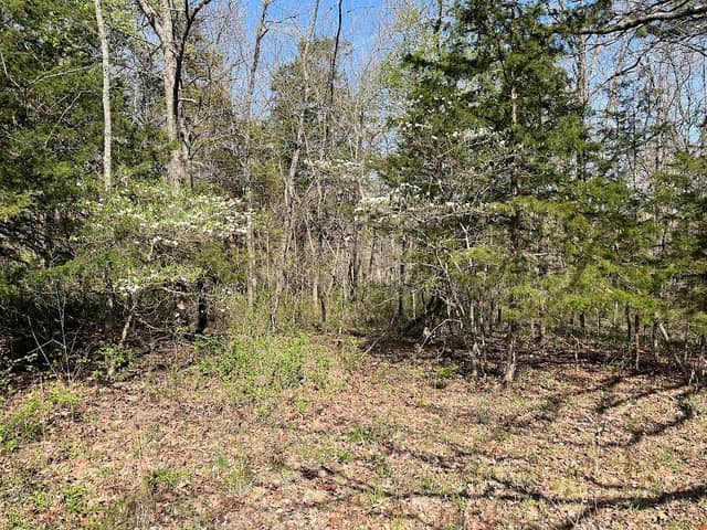 Fiery Fork Conservation Area - Image 1