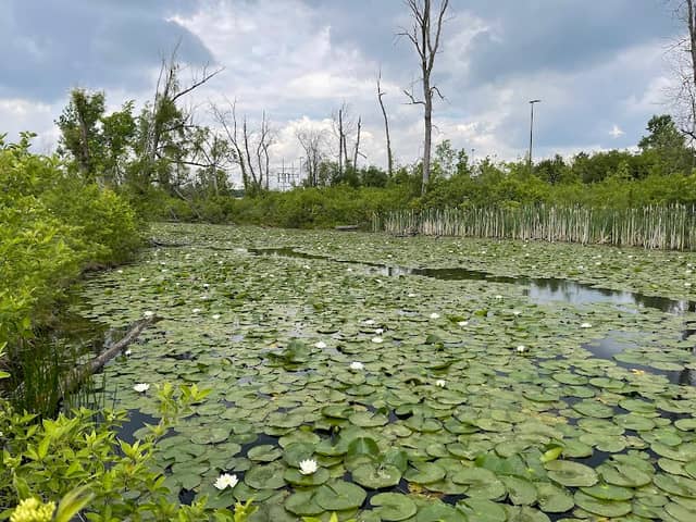 Lagoon Park - Image 2
